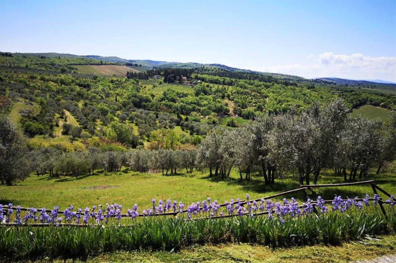 La Compagnia del Chianti Aparthotel San Donato in Poggio Esterno foto